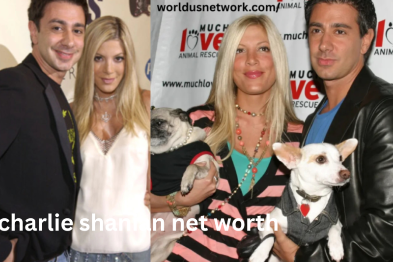 Charlie Shanian Net Worth: A Complete Look at His Career, Income Sources, and Financial Growth